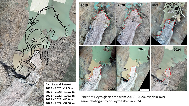 Map showing the extent of Peyto glacier toe from 2019-2024, overlain over aerial photography of Peyto taken in 2024