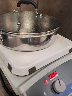 Image of the fish samples being cooked (pan fried in water)